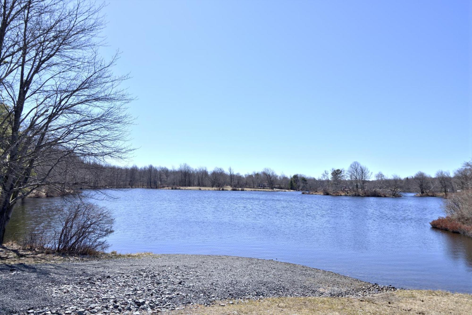 Lakehouse *Hottub*Jacuzzi*Firepit*Bbq*Pool Long Pond エクステリア 写真